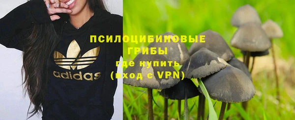 дживик Дмитров