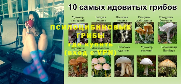 дживик Дмитров