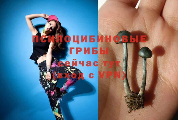 прущие крисы Дмитриев