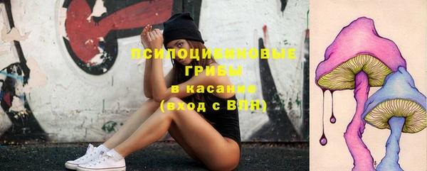 дживик Дмитров
