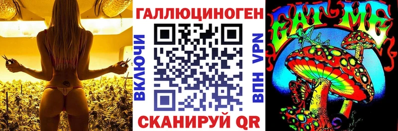 Псилоцибиновые грибы Psilocybine cubensis  Купить где  Чегем 